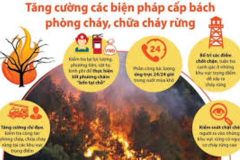 BÀI TUYÊN TRUYỀN PHÒNG CHÁY, CHỮA CHÁY RỪNG